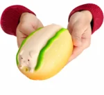 Squishy Completo Chancho Kawaii